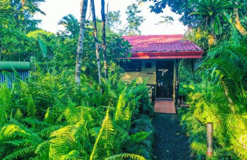 Chilamate Cabina | Maquenque Ecolodge