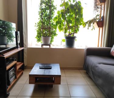 Villarrica Casa | Maqui