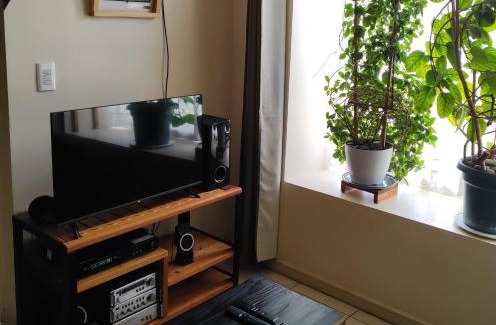 Villarrica Casa | Maqui
