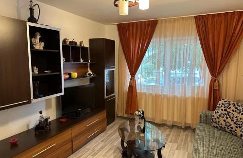 Fagaras Apartamento | Mara