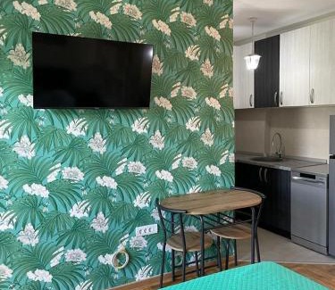 Zemun Apartamento | Mara