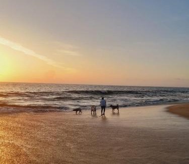 Mararikulam Casa | Marari Babu Homestay