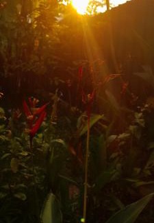 Mararikulam Casa | Marari Babu Homestay