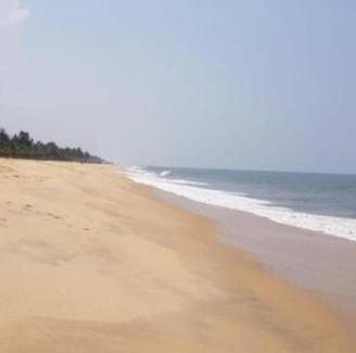 Mararikulam Casa | Marari Beach House