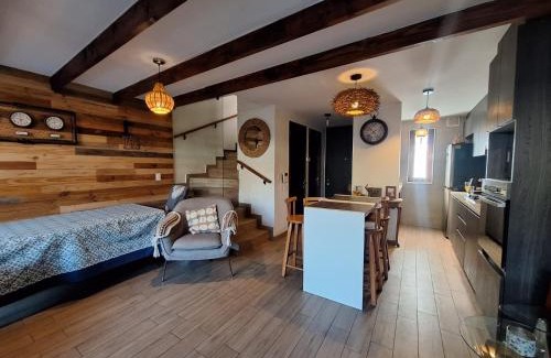 Nunoa Casa | Maravillosa esplendida casa en ñuñoa