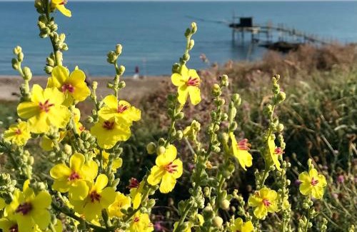San Salvo Marina Apartamento | MARE E BICI