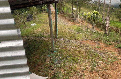 Acacias Casa | Finca Maria de los Angeles