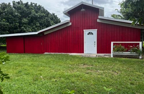 Homestead Casa | Maria's Tiny Barn