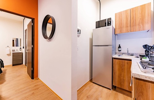 Miguel Hidalgo Apartamento | Mariano Escobedo Apartments by VH