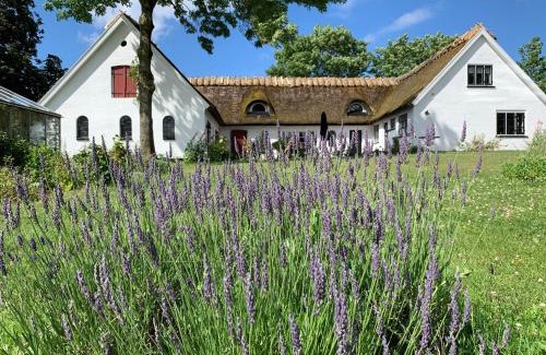 Hillerod Cama Y Desayuno | Mariegaardens Gæstehuse