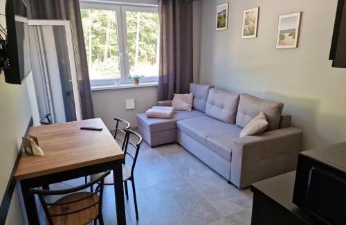 Debina Apartamento | Mario Leśny Klif 1