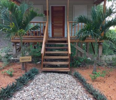 San Antonio Apartamento | Mariposa Jungle Lodge