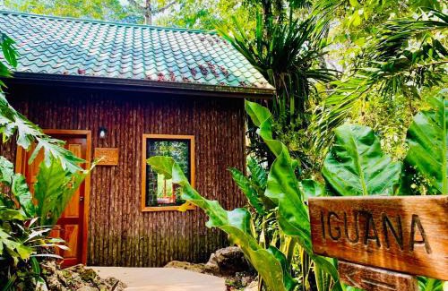 San Antonio Apartamento | Mariposa Jungle Lodge