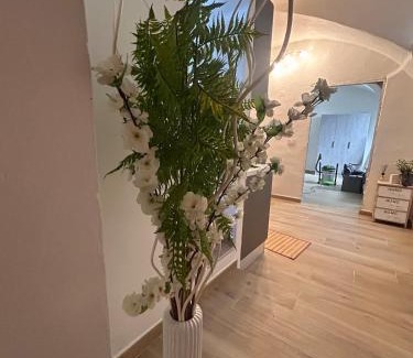Santa Caterina Apartamento | Mariposa Sassari