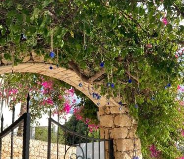Kalkan Cama Y Desayuno | Marquis Blue Hotel