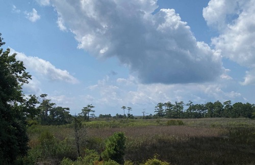 Kitty Hawk Cabaña | Marsh Cottage