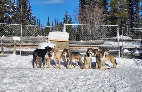 Yukon Apartamento | Marshian Yurt