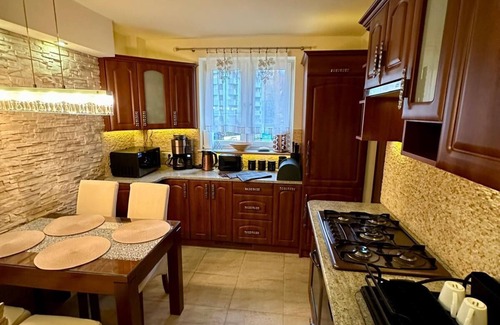 Krynica-Zdroj Apartamento | Marvelous apartment with WiFi, Netflix, Xbox One, full kitchen in Krynica-Zdrój