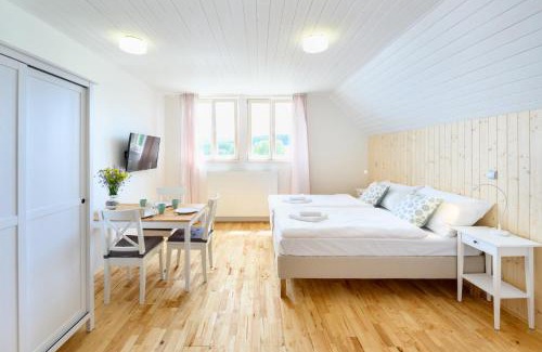 Predni Vyton Apartamento | Marvelous lake view apartments - Jezerka Lipno