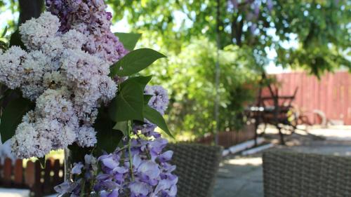 Luncavita Casa | Mary's Country House