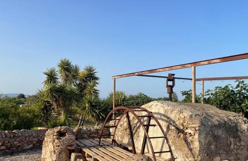 Amposta Casa | Masía Mas Salut