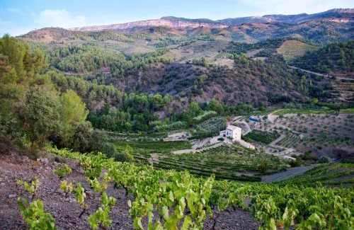 Torroja del Priorat Casa | MAS ALSERA. Masoveria d'Agroturisme