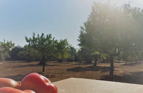 Costa Dorada Villa | Mas Baralluga dispone de una piscina en un ambiente tranquilo cerca con mucho espacio