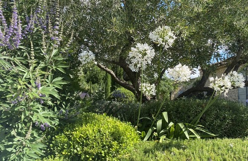 Gordes Casa | Mas des anges in gordes