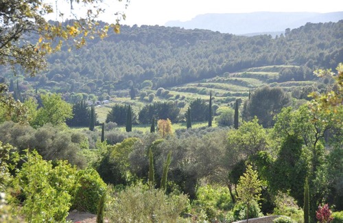 Cassis Cama Y Desayuno | Mas du Perthus