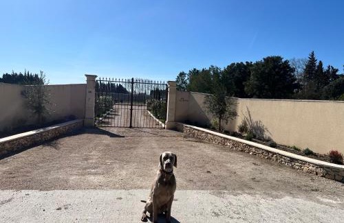 Saint-Andiol Cama Y Desayuno | Mas Galinette