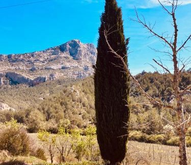 Beaurecueil Casa | Mas Provençal au pied de la sainte Victoire à 8 k d'Aix en provence