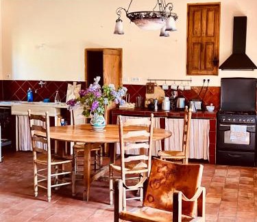 Beaurecueil Casa | Mas Provençal au pied de la sainte Victoire à 8 k d'Aix en provence