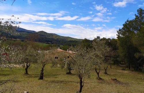 Madremanya Apartamento | MAS TARRÈS