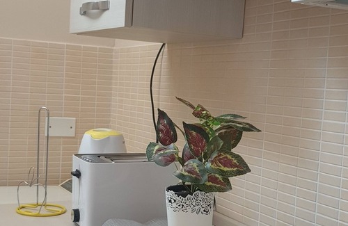 San Giacomo degli Schiavoni Apartamento | Masangy's Studio