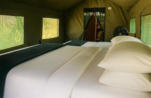 Thorny Bush Game Reserve Otro | Masingitana Tented Camp
