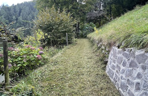 Canal San Bovo Chalet De Esquí | Maso el Bepo Baita di Montagna del 1.700 Ristrutturato a Nuovo