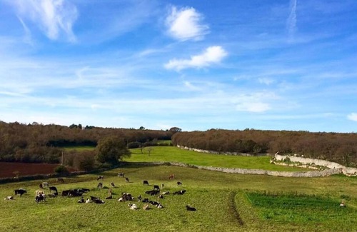 Martina Franca Otro | Masseria Cappella