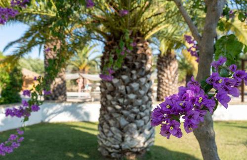 Polignano a Mare Casa | Masseria Cesarina B&B