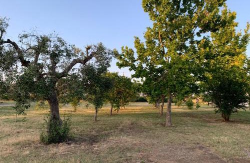 Ginosa Casa | Masseria Montedoro