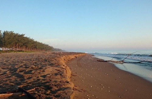 Tuxpan Casa | Master Junior Boketto 4