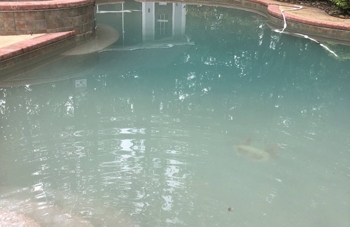 North Augusta Casa | Masters Rental/2 Primary bedrooms/Pool/Hot tub/Large Yard/Very Private