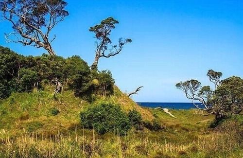 Matapouri Cabaña | Matapouri Dunes - Matapouri Holiday Home