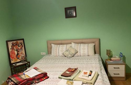 Kars Apartamento | Mavi Ladin Konukevi