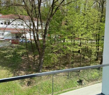 Vrnjacka Banja Apartamento | Maya apartman sa dve spavace sobe