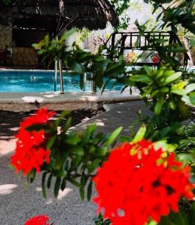 Gonzalo Guerrero Hotel | Mayan Art Hotel a unos pasos de la 5a Avenida