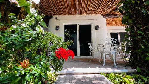 Gonzalo Guerrero Hotel | Mayan Art Hotel a unos pasos de la 5a Avenida