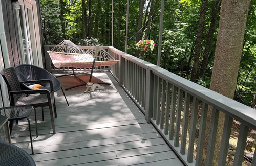 Mount Airy Casa | 🏚️ Mayberry’s Serenity Villa.. IfIT Bike, Hammock, Massage Table, Firepit