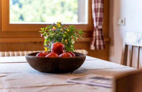 San Pancrazio Apartamento | Mayrhof Apartment Tanne