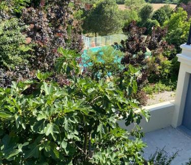 Saint-Martin-de-Bromes Apartamento | Mazet 43