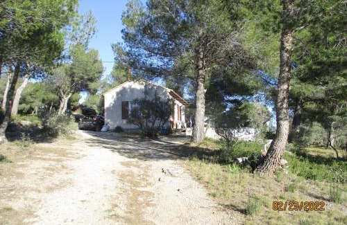 Mouries Casa | Mazet pleine nature